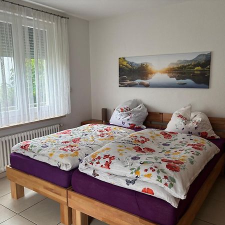 Klettgauperle - Familien- Und Behindertengerechte Ferienwohnung Griessen Esterno foto