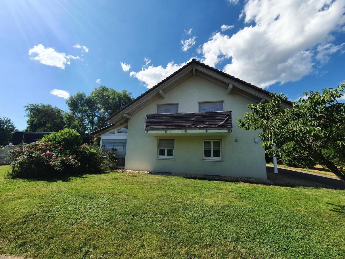 Klettgauperle - Familien- Und Behindertengerechte Ferienwohnung Griessen Esterno foto
